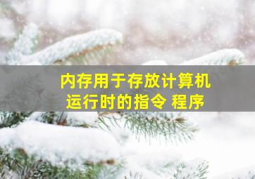 内存用于存放计算机运行时的指令 程序